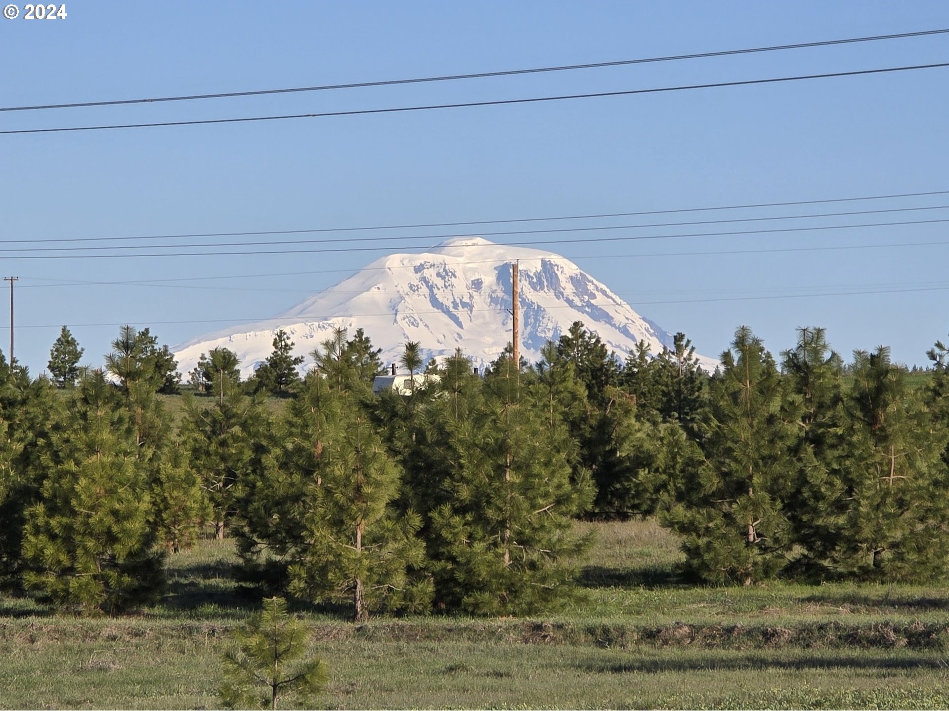 38 Wildhorse Ranch Road Goldendale, WA 98620 - Photo 5 of 22 a view of a wooden floor