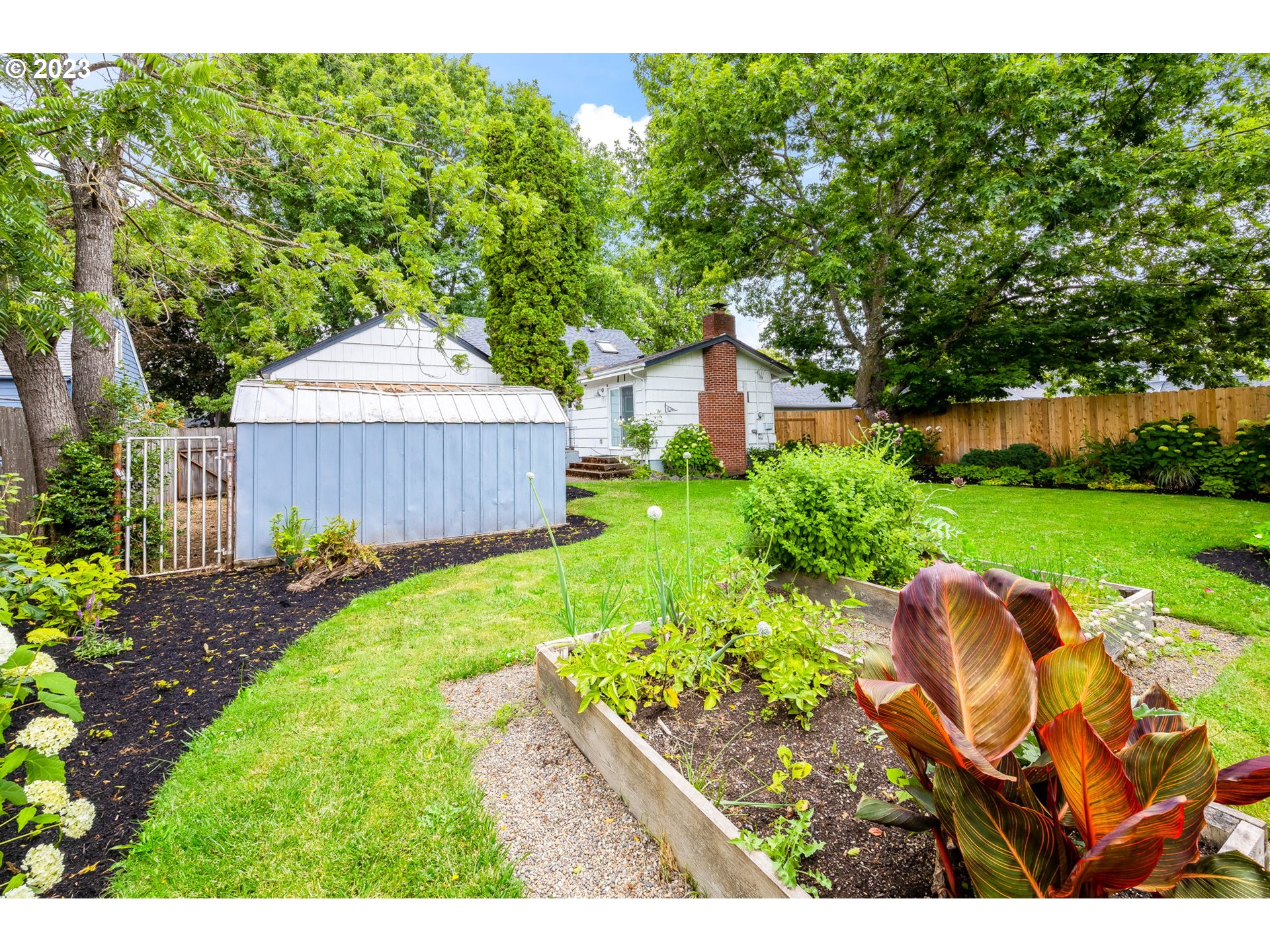 1335 B Street Springfield, OR 97477 - Photo 35 of 40 a view of a backyard with table and chairs plants and large tree