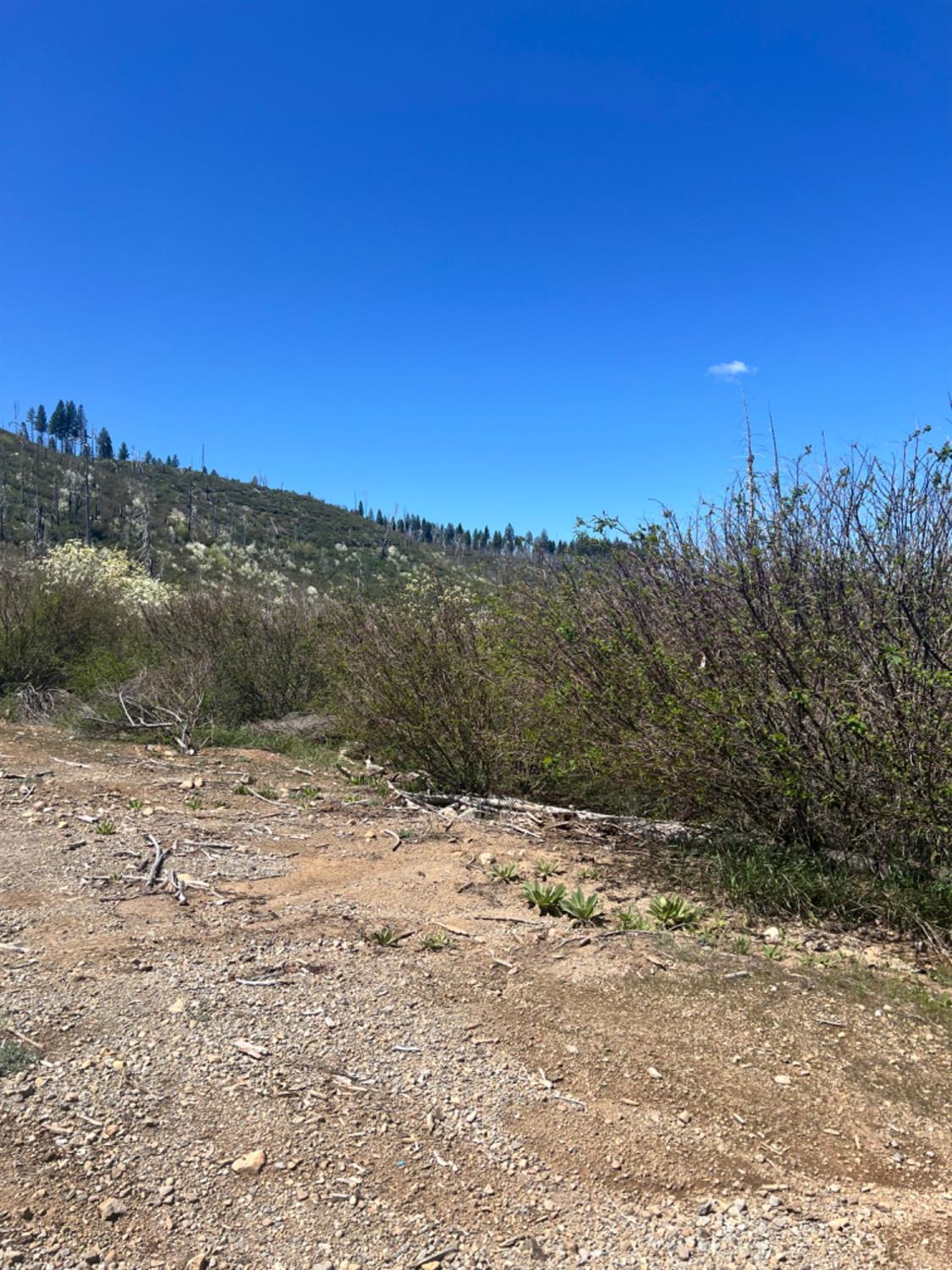 40 Wentworth Springs Road Georgetown, CA 95634 - Photo 8 of 9