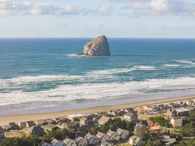a view of yard with car parked