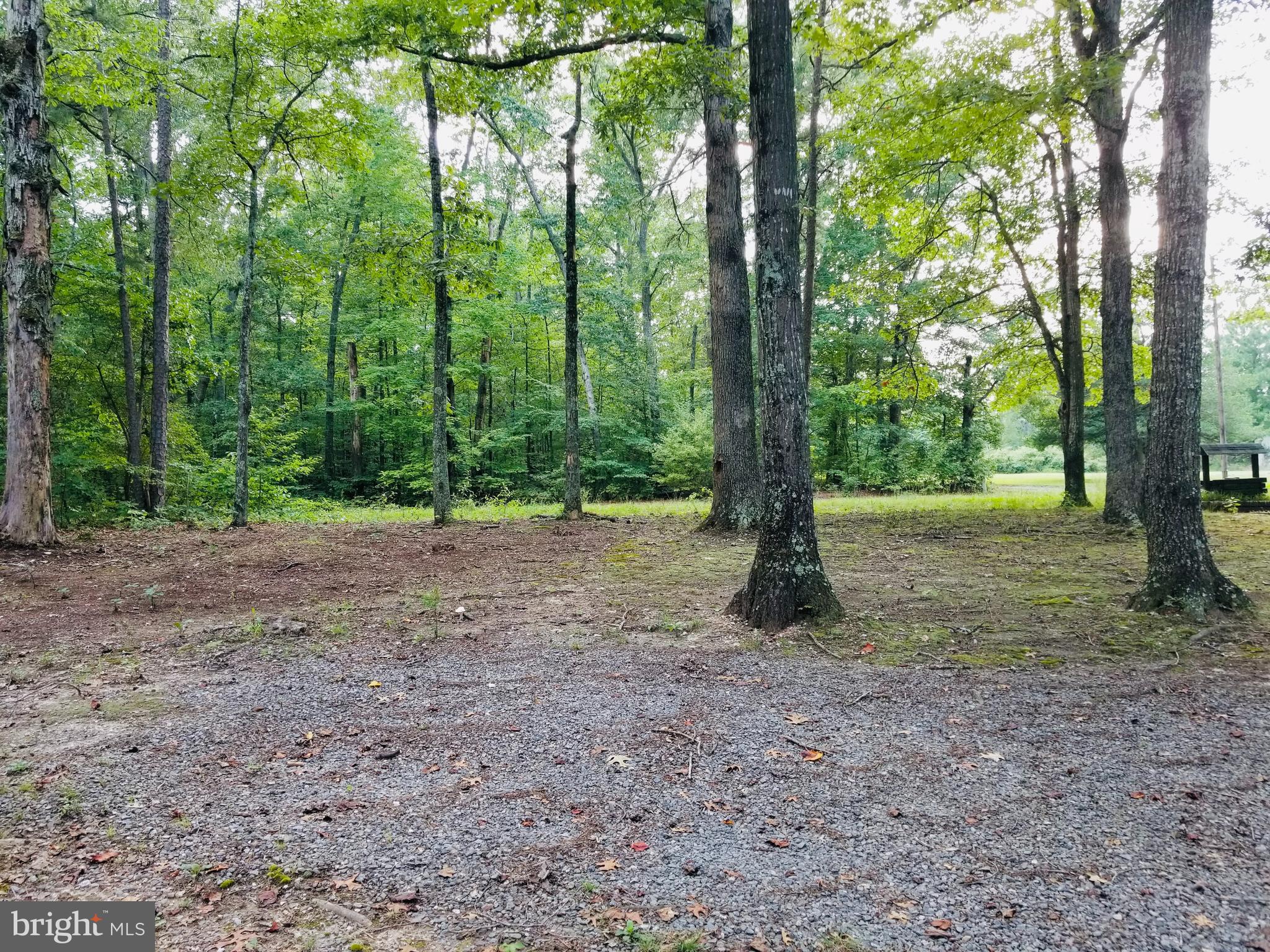 21337 Yellow Bottom Road Lignum, VA 22726 - Photo 15 of 17 Gallery Image 15