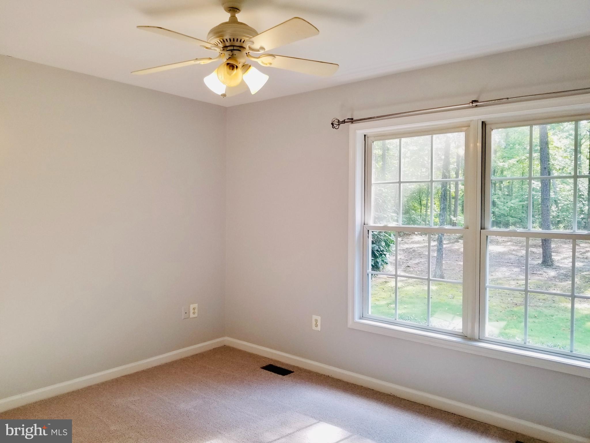 21337 Yellow Bottom Road Lignum, VA 22726 - Photo 9 of 17 Gallery Image 9