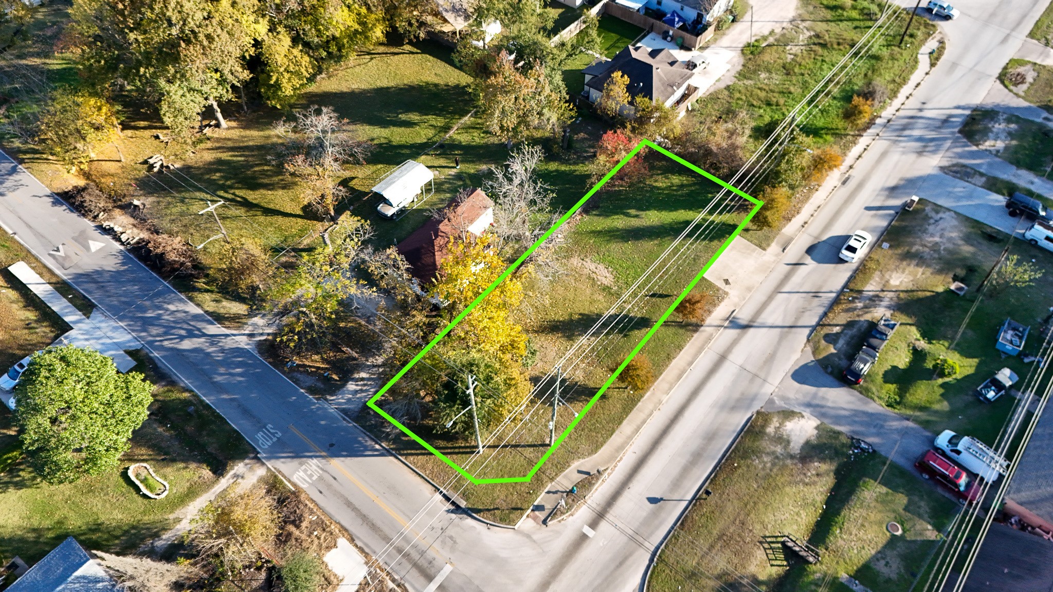 a picture of flowers