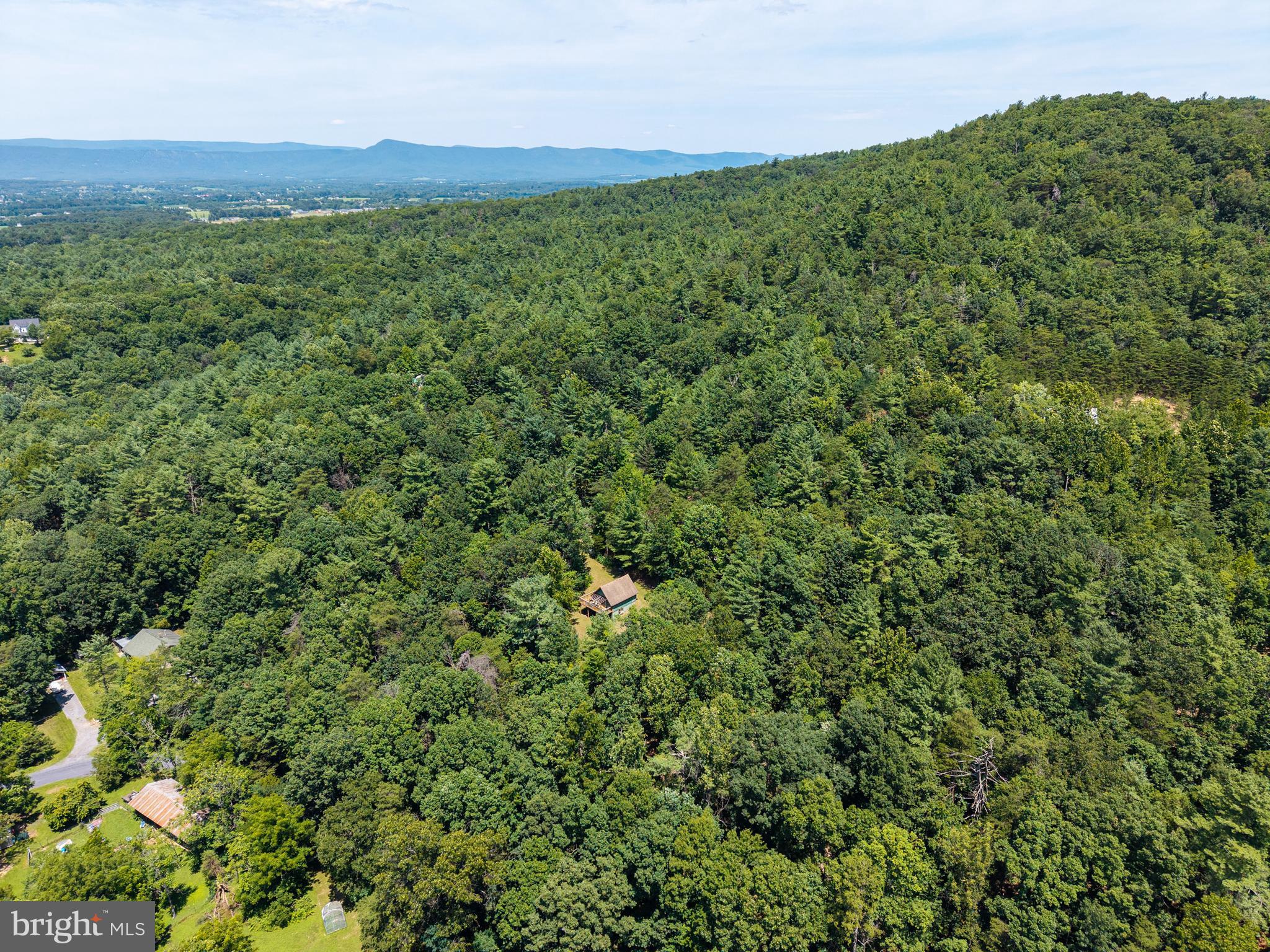 1247 Somers Road Luray, VA 22835 - Photo 58 of 67 a view of a lush green forest with a mountain