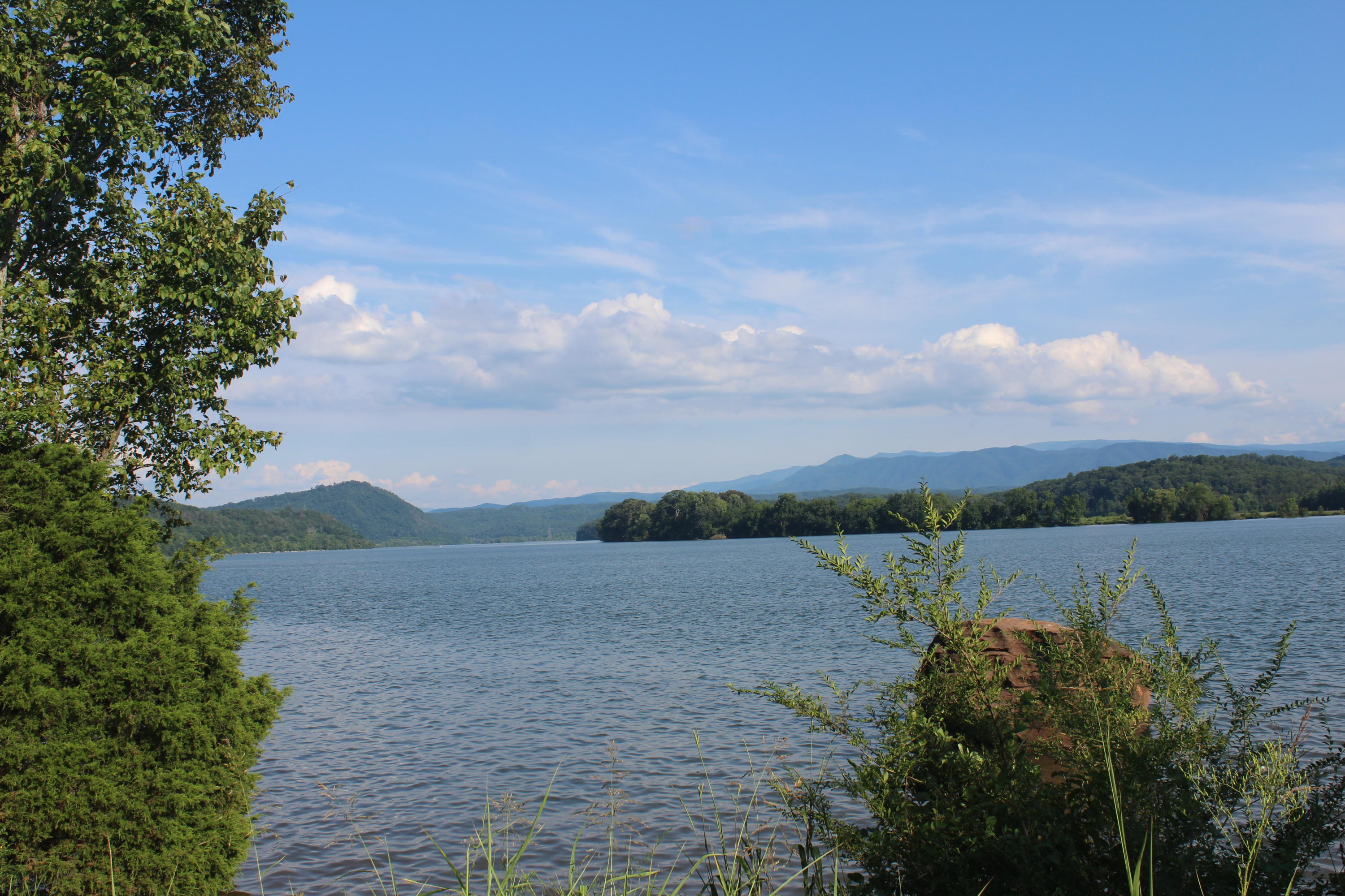 Diamond Branch Road Maryville, TN 37801 - Photo 8 of 11 IMG_1934