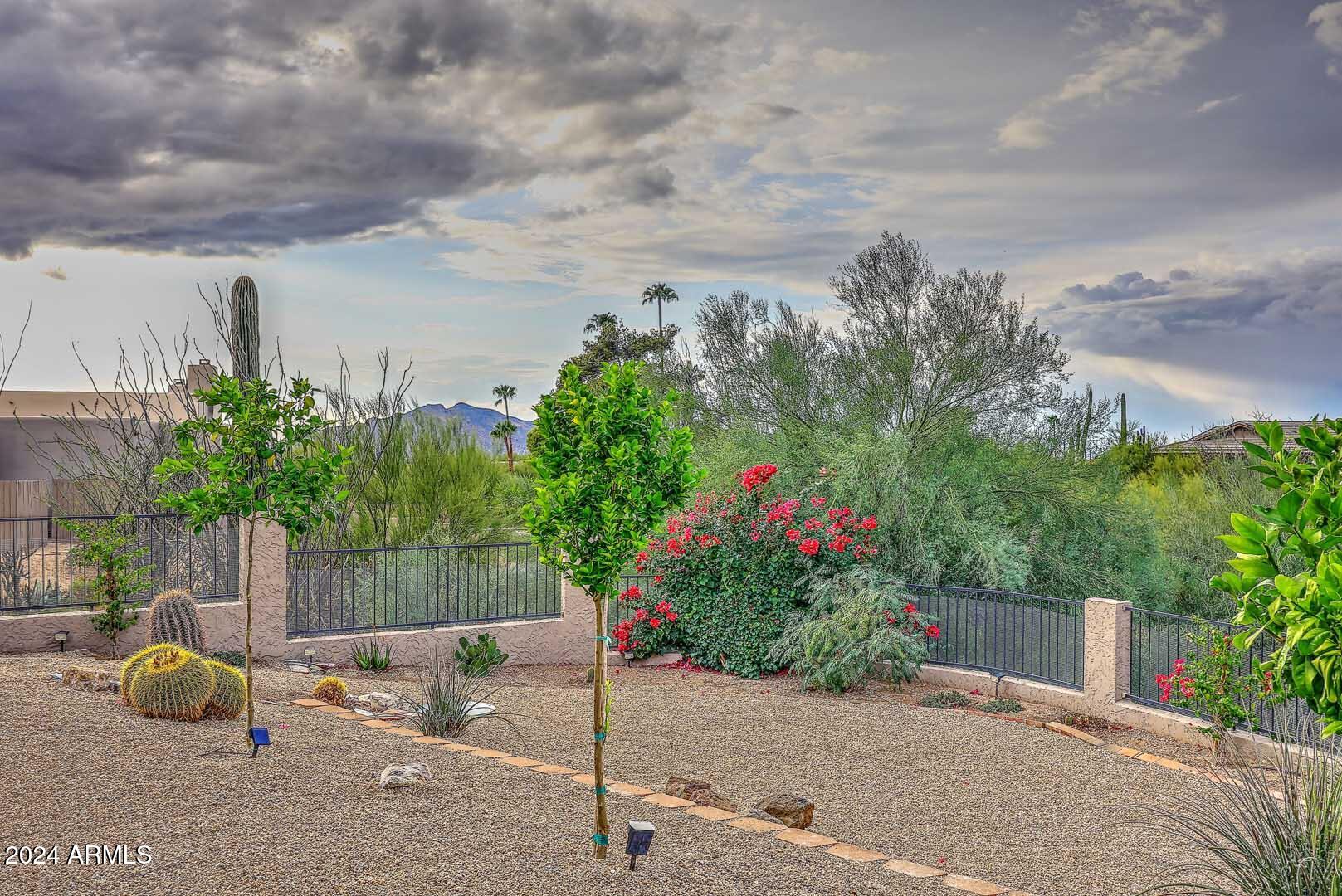 9446 Romping Road Carefree, AZ 85377 - Photo 85 of 119 a backyard of a house with lots of green space and plants