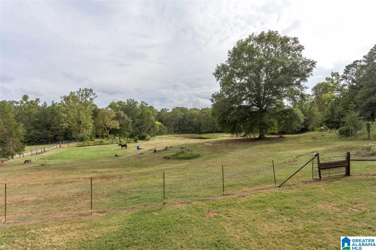 975 Refuge Road Ragland, AL 35131 - Photo 4 of 42