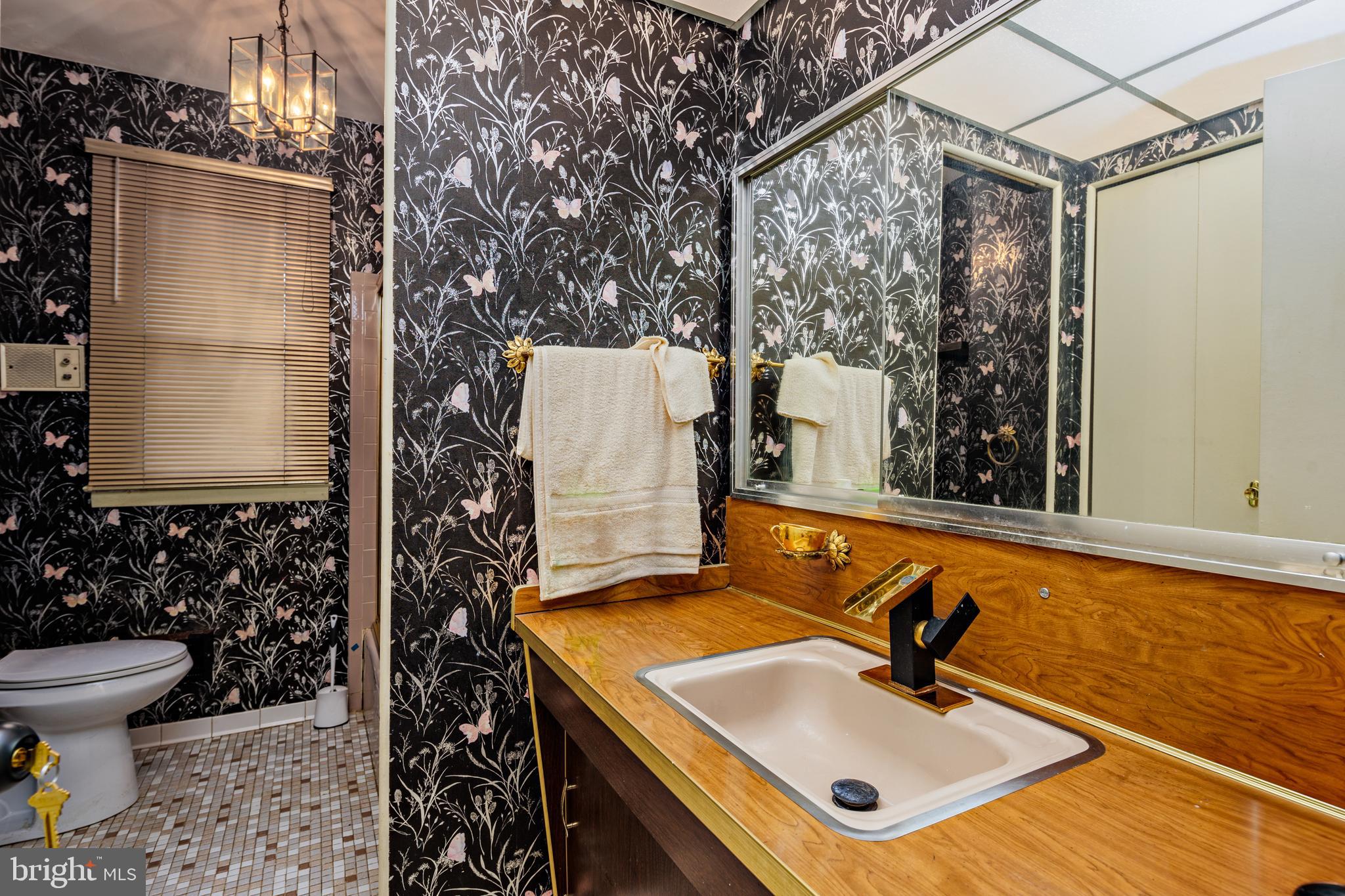 3819 Janbrook Road Randallstown, MD 21133 - Photo 23 of 47 a bathroom with a sink toilet and shower
