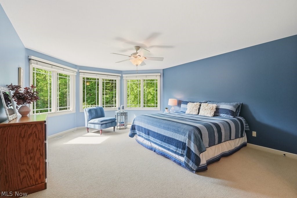 10950 Tibbetts Road Kirtland, OH 44094 - Photo 25 of 50