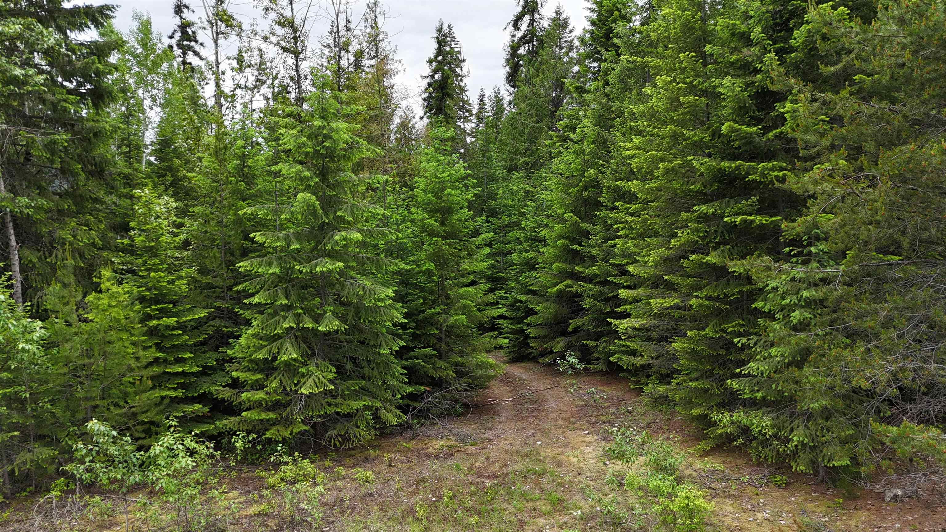 Nka Nka Boundary Road Colville, WA 99114 - Photo 25 of 41