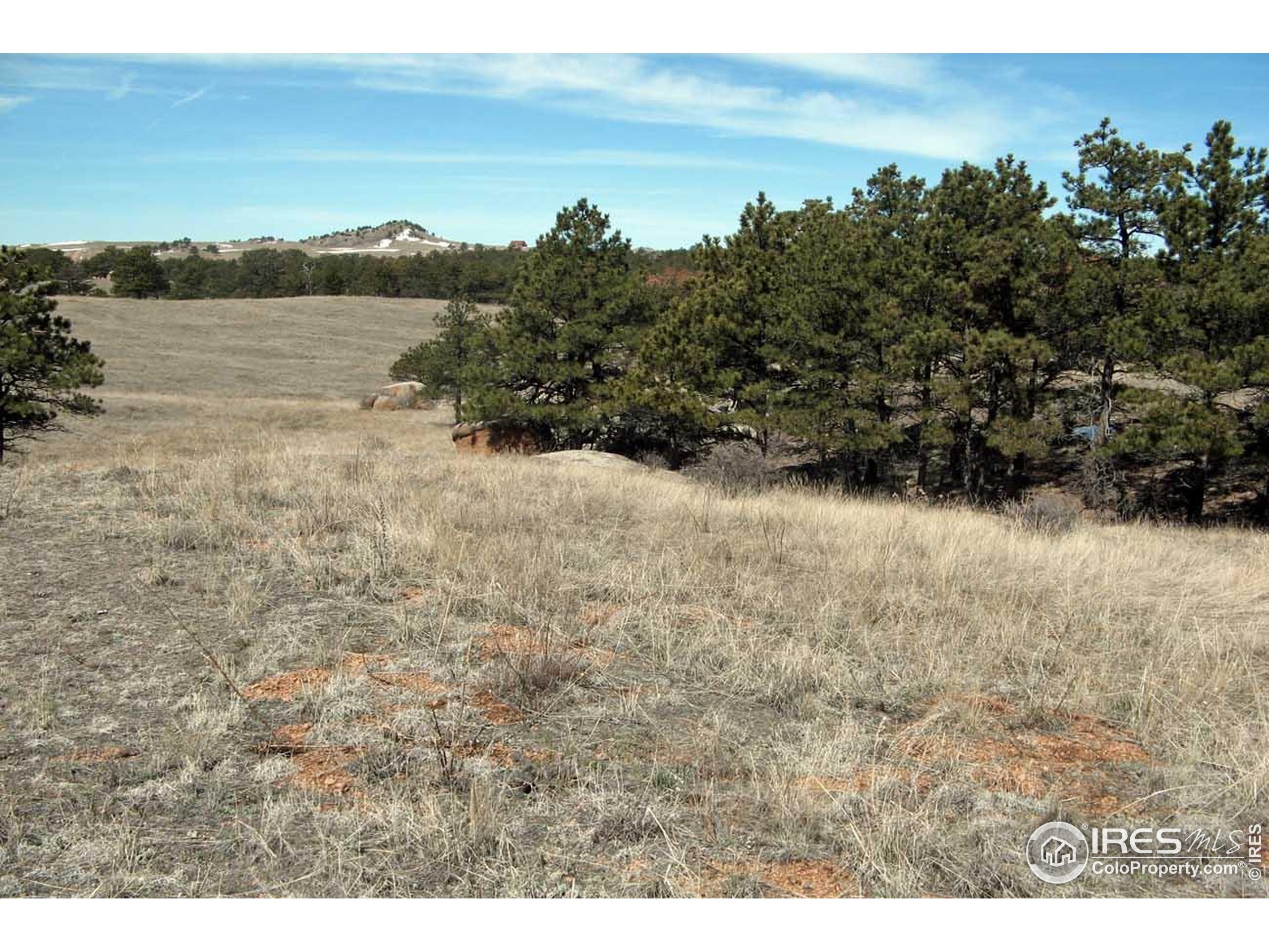280 Timber Trail Livermore, CO 80536 - Photo 11 of 19 a view of lake and mountain