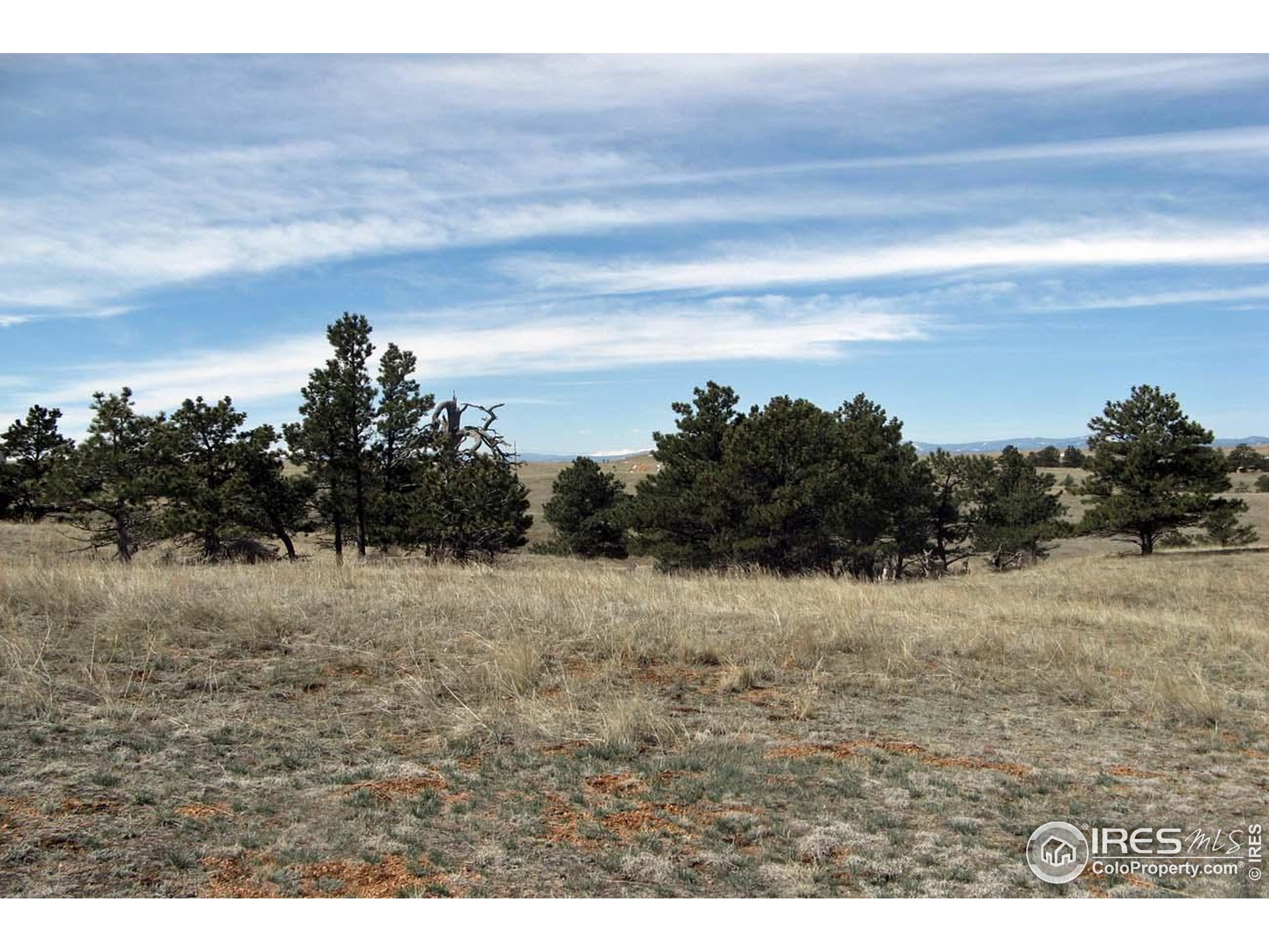 280 Timber Trail Livermore, CO 80536 - Photo 12 of 19 a view of dirt field with trees in background
