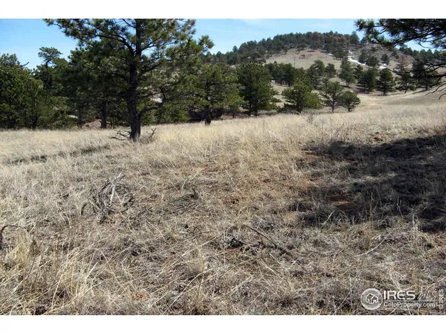 a view of a backyard of the house