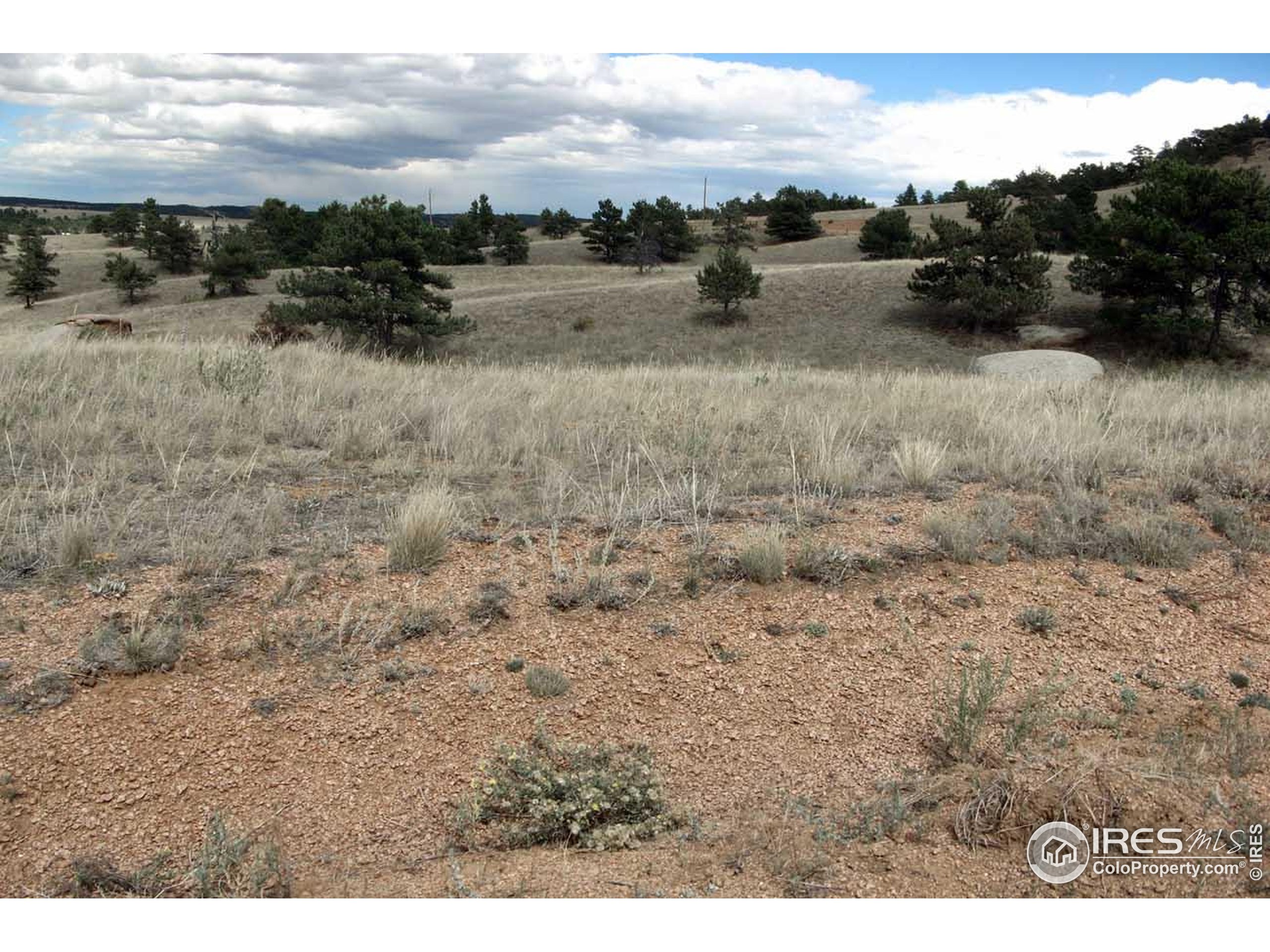 280 Timber Trail Livermore, CO 80536 - Photo 14 of 19 a view of a dry yard with wooden fence