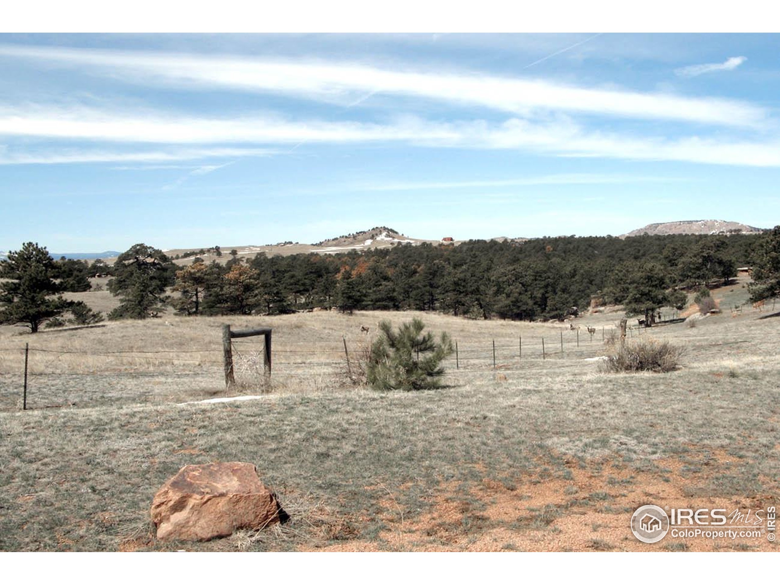 280 Timber Trail Livermore, CO 80536 - Photo 16 of 19 a view of a dry yard with wooden fence