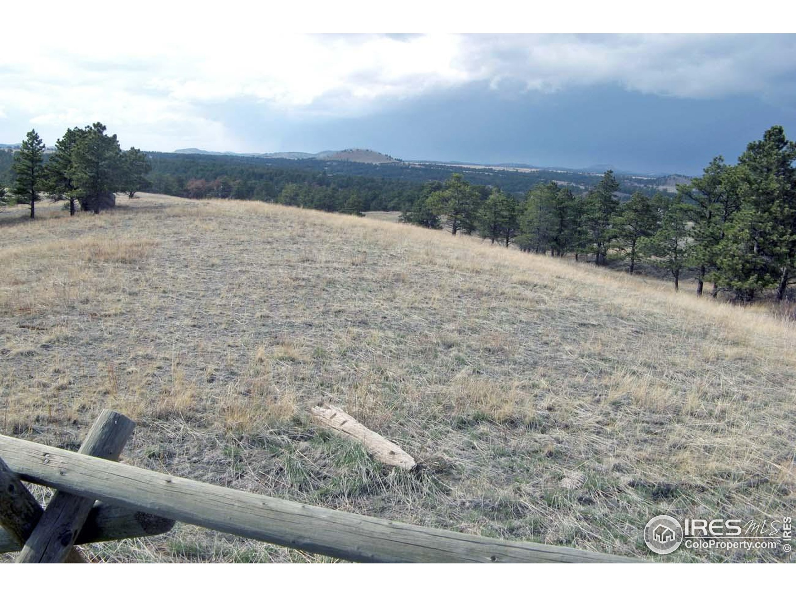 280 Timber Trail Livermore, CO 80536 - Photo 4 of 19