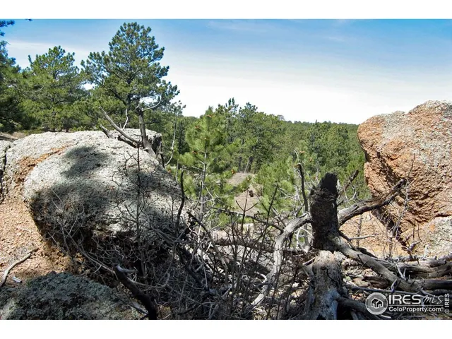 a view of a yard covered in snow