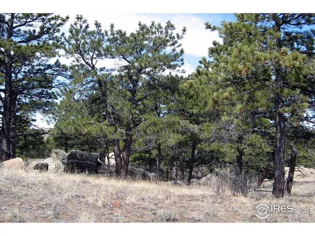 a view of outdoor space with trees all around