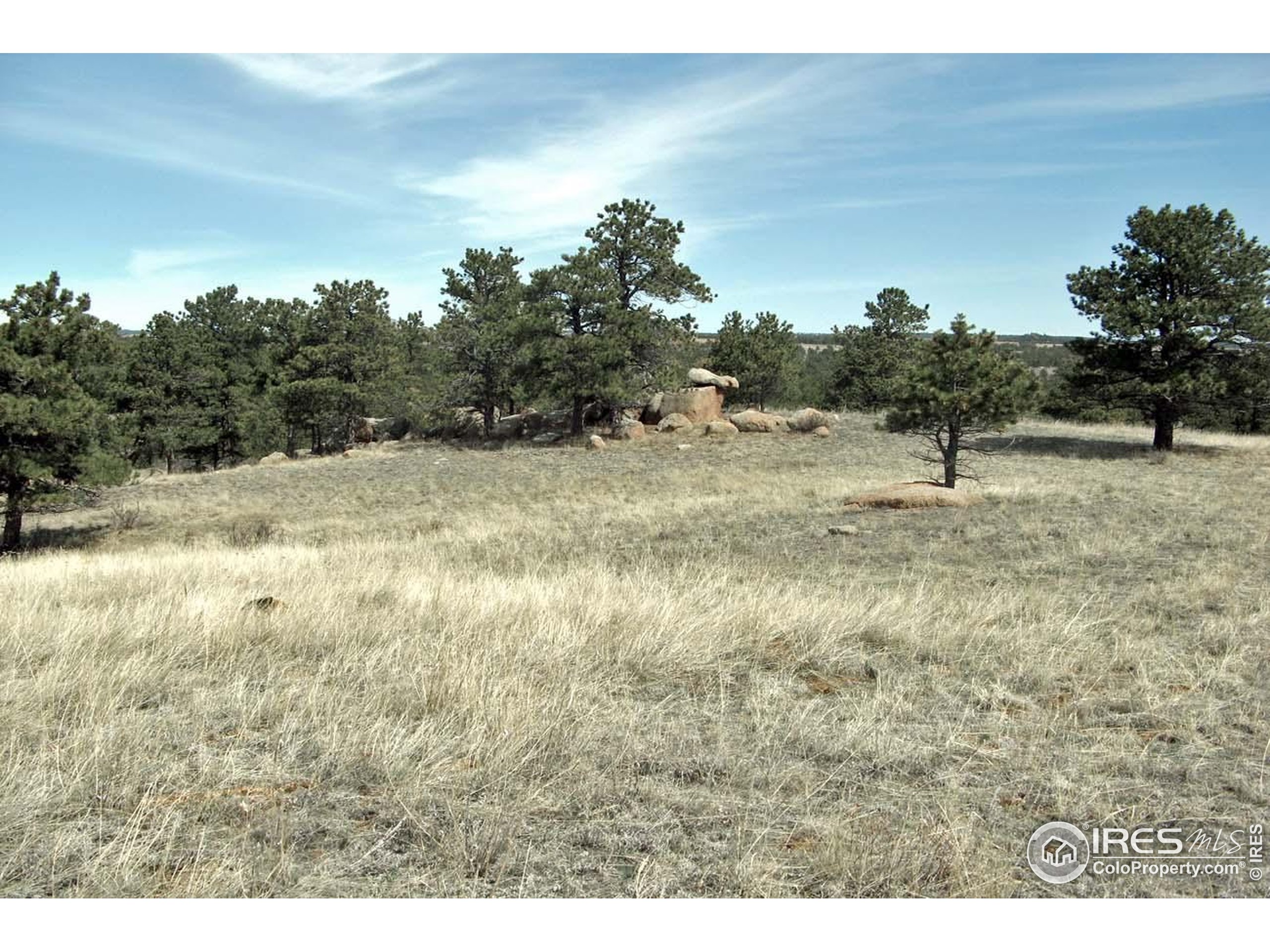280 Timber Trail Livermore, CO 80536 - Photo 8 of 19 a view of outdoor space with trees all around