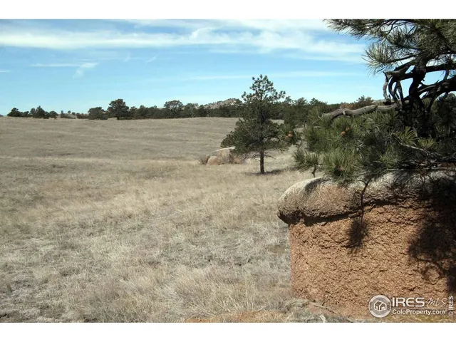 a view of dirt field with trees in background
