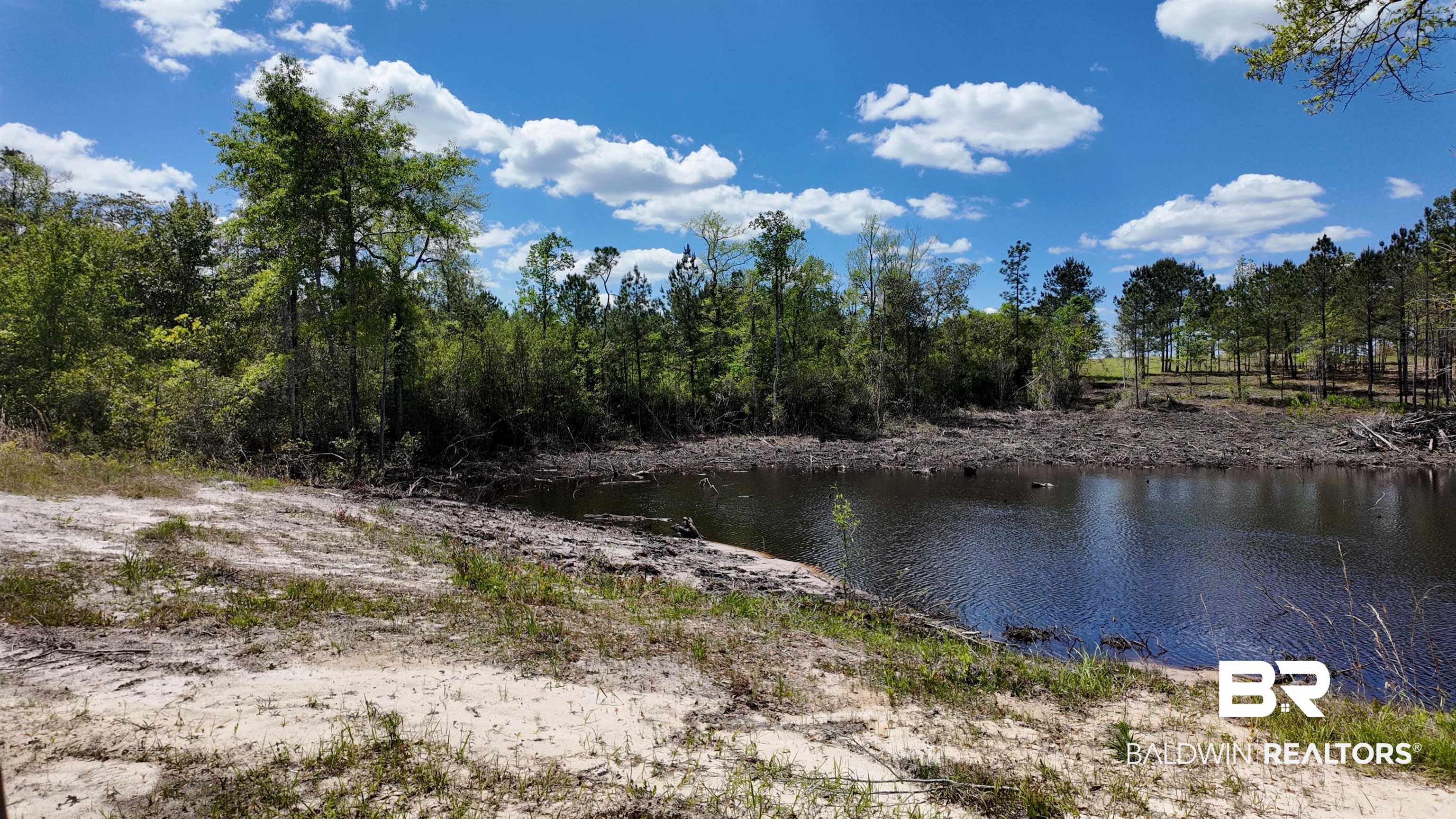 0 Powell Road Eight Mile, AL 36613 - Photo 40 of 57