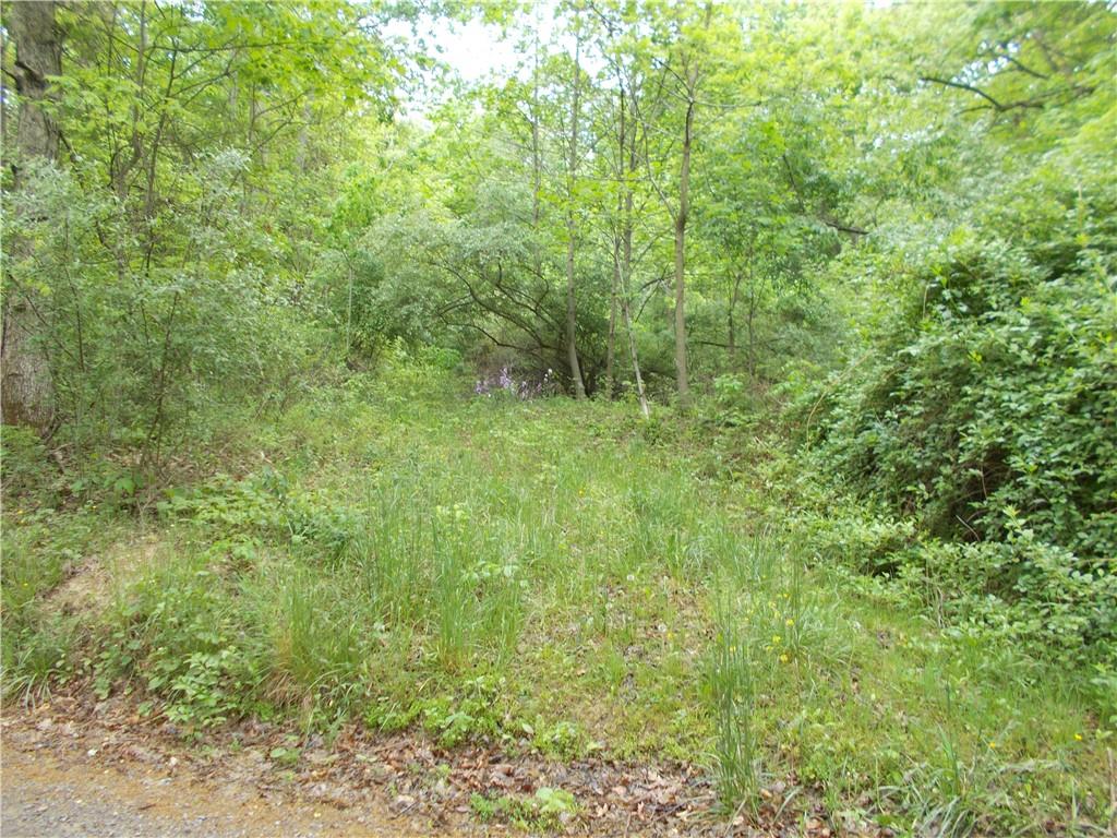 0 Coaltown Road Slippery Rock, PA 16057 - Photo 1 of 4 a view of a lush green forest with large trees