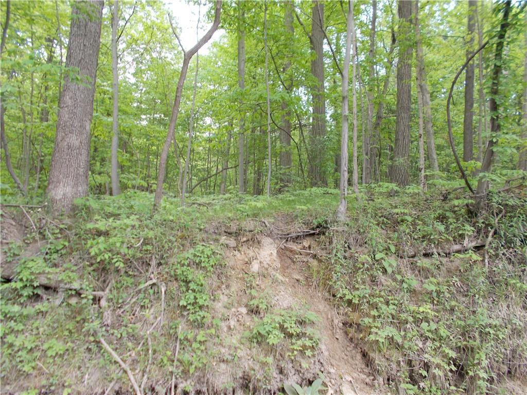 0 Coaltown Road Slippery Rock, PA 16057 - Photo 2 of 4 a view of a lush green forest