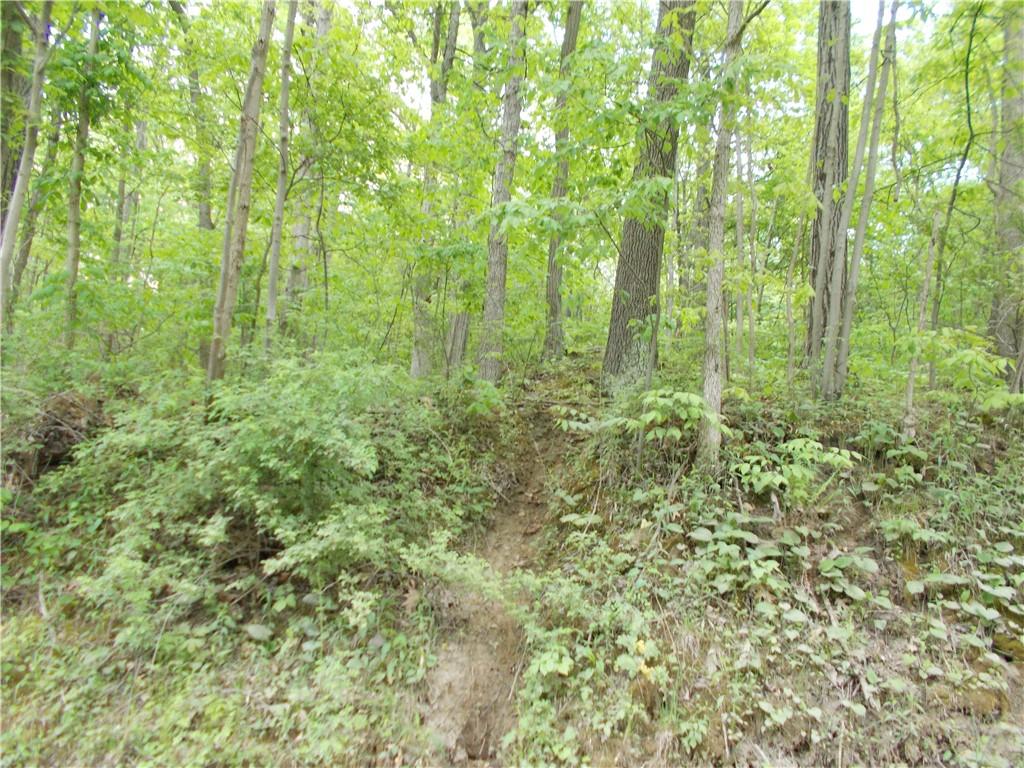 0 Coaltown Road Slippery Rock, PA 16057 - Photo 3 of 4 a view of yard with green space