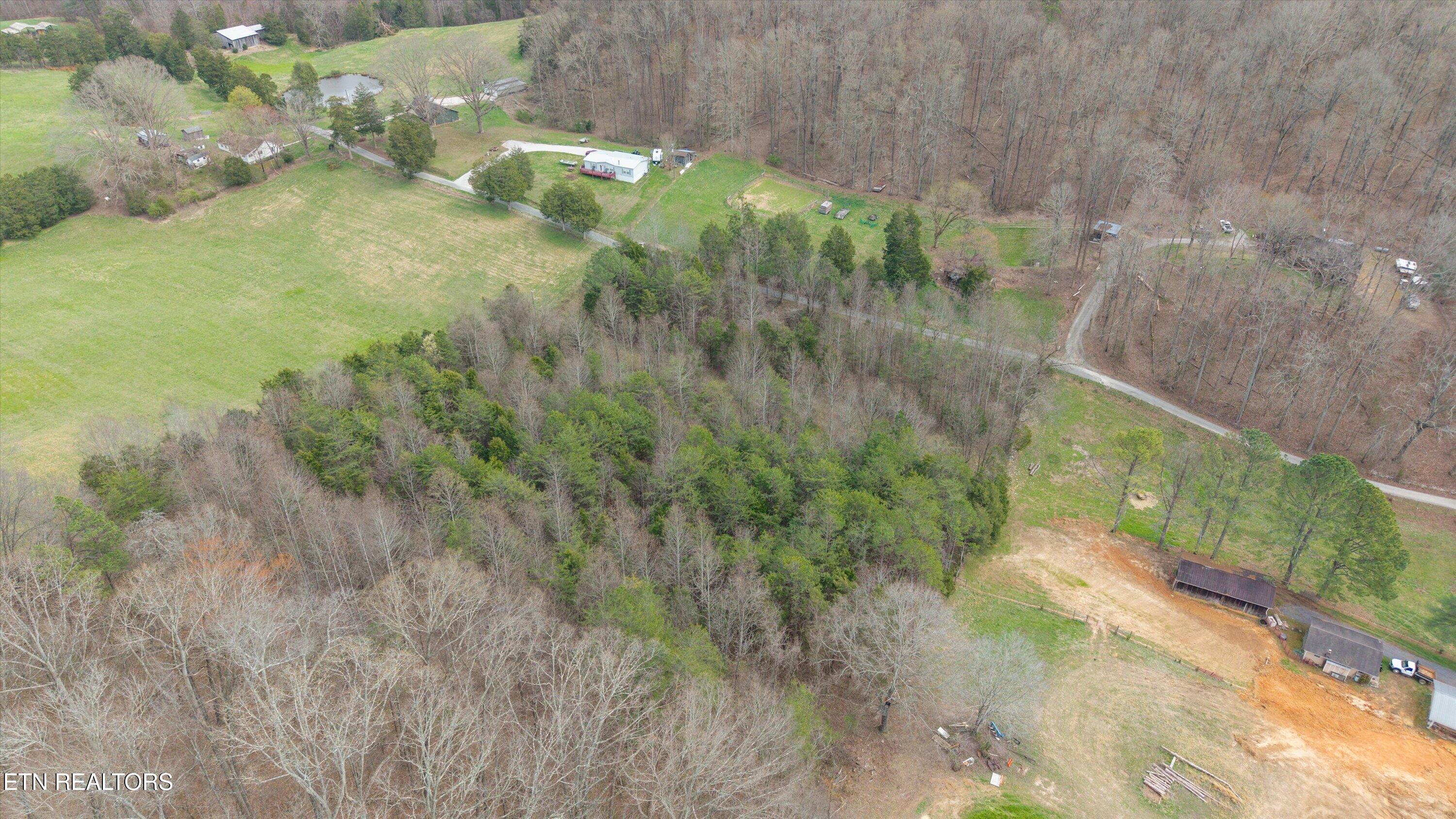 0 Lewis Road Powell, TN 37849 - Photo 7 of 11 IMG_9371