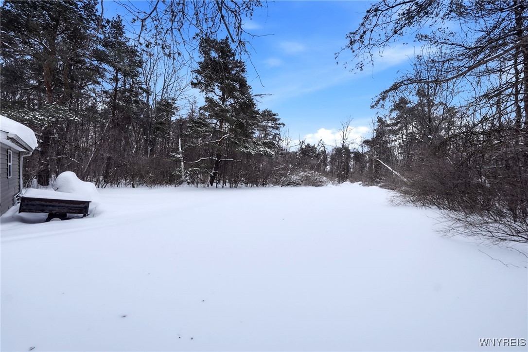 6837 Sand Hill Road Newstead, NY 14001 - Photo 45 of 49