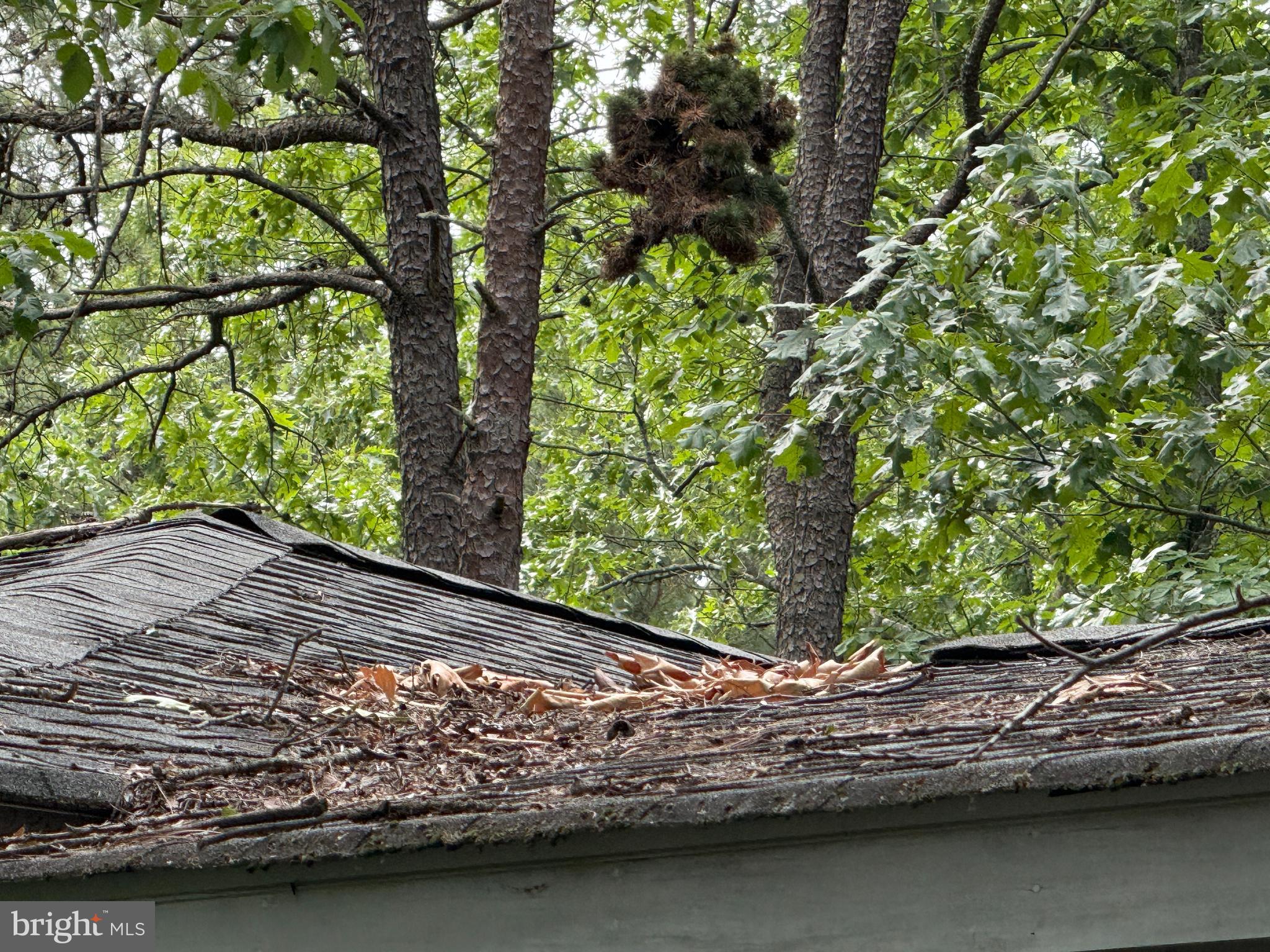 227 Oakshade Road Tabernacle, NJ 08088 - Photo 6 of 16
