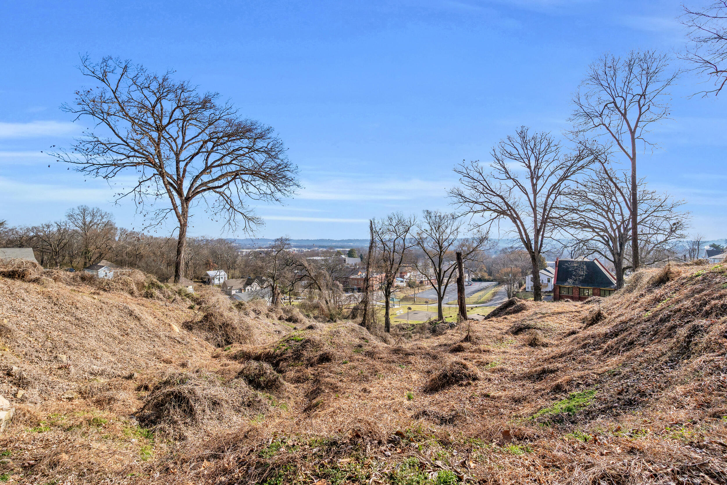 0 West 39th Street Chattanooga, TN 37409 - Photo 4 of 22 42_dsc06069