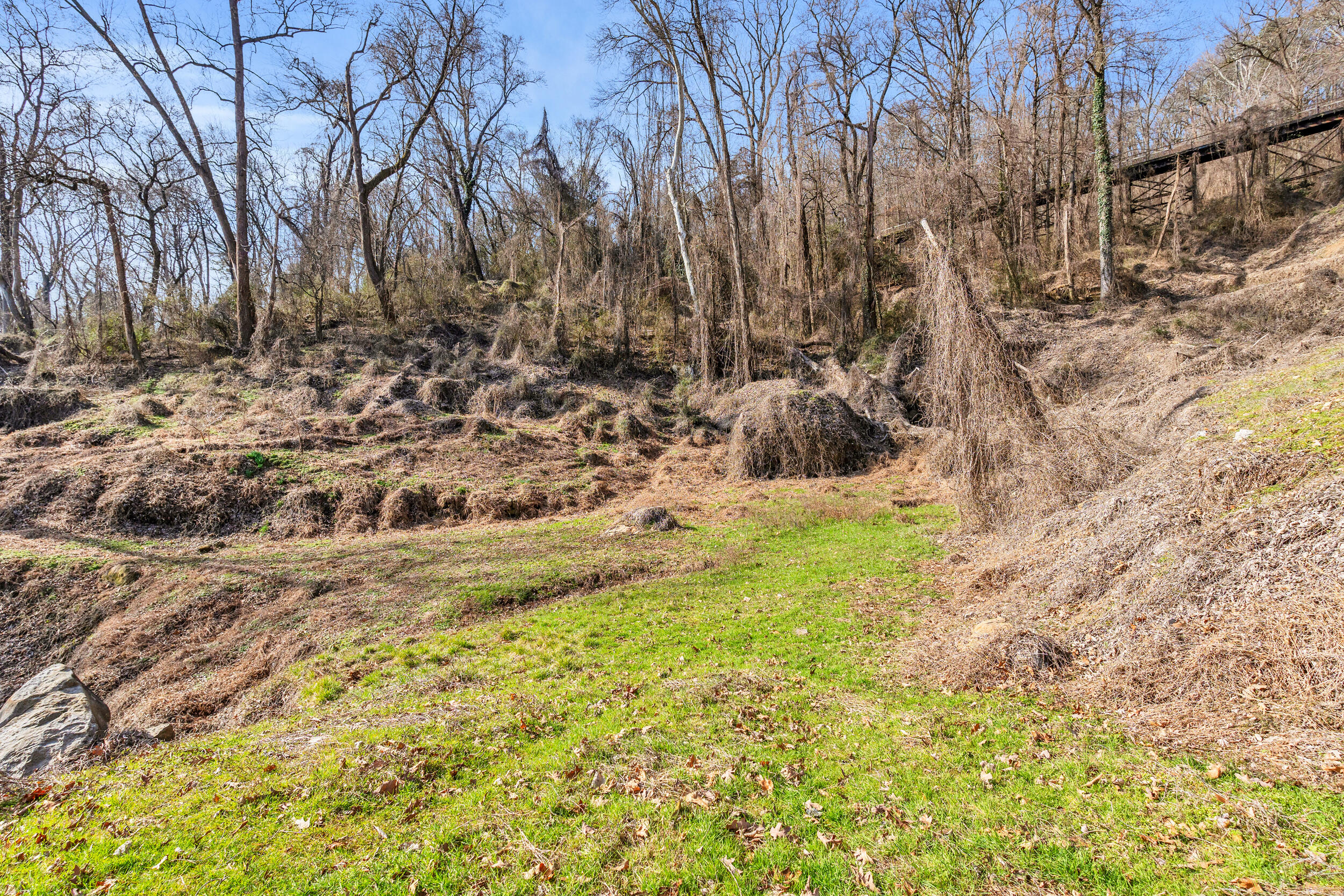 0 West 39th Street Chattanooga, TN 37409 - Photo 5 of 22 46_dsc06081