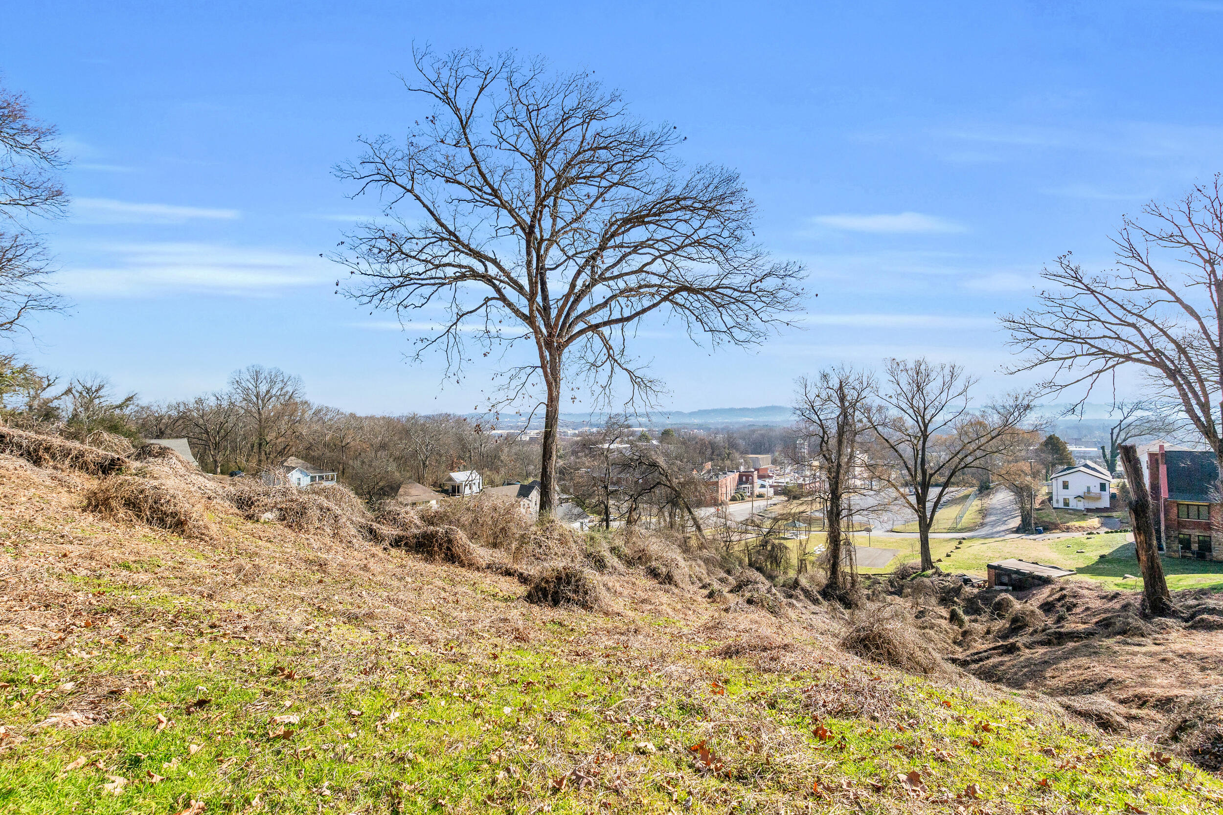 0 West 39th Street Chattanooga, TN 37409 - Photo 6 of 22 45_dsc06078