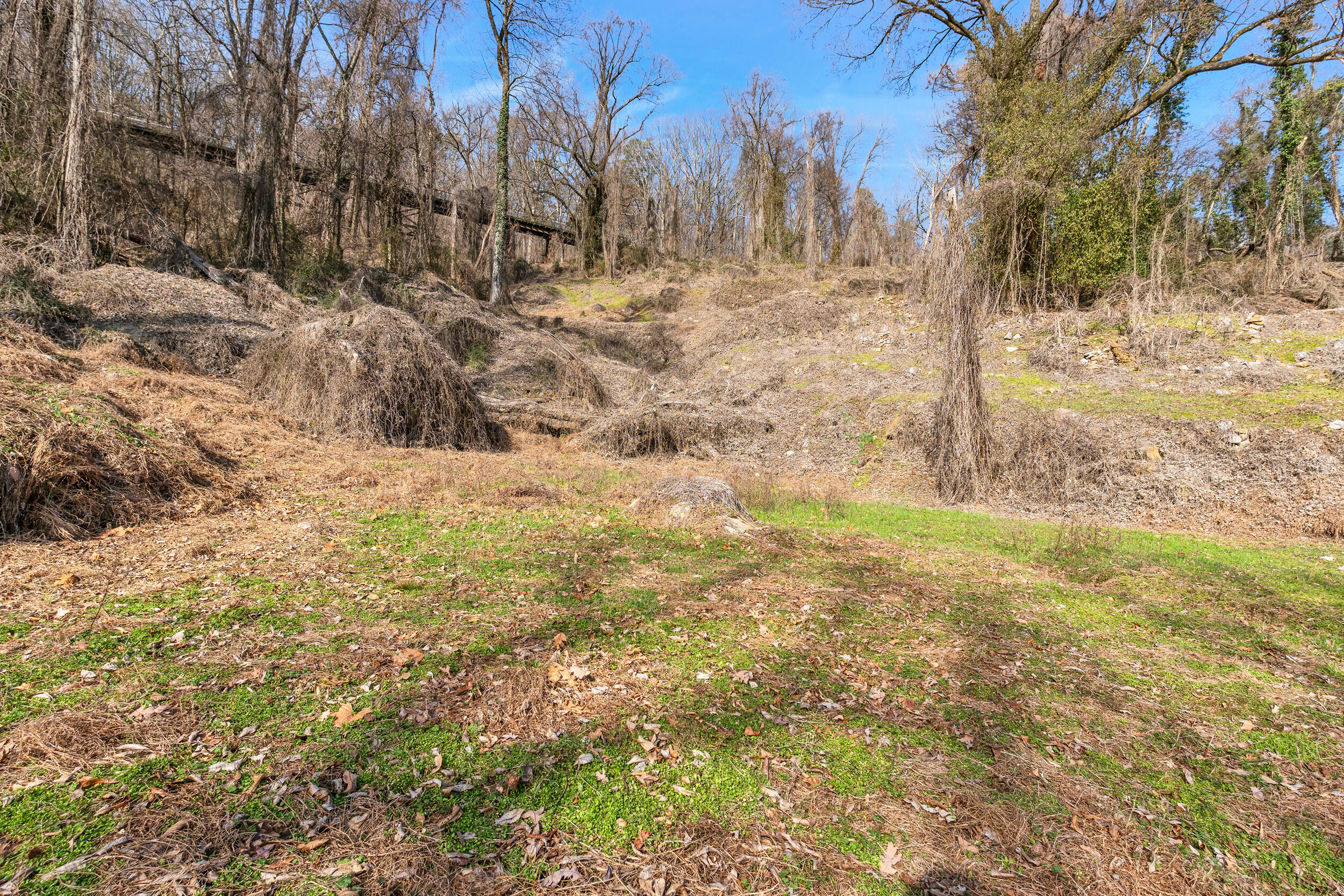 0 West 39th Street Chattanooga, TN 37409 - Photo 7 of 22 44_dsc06075