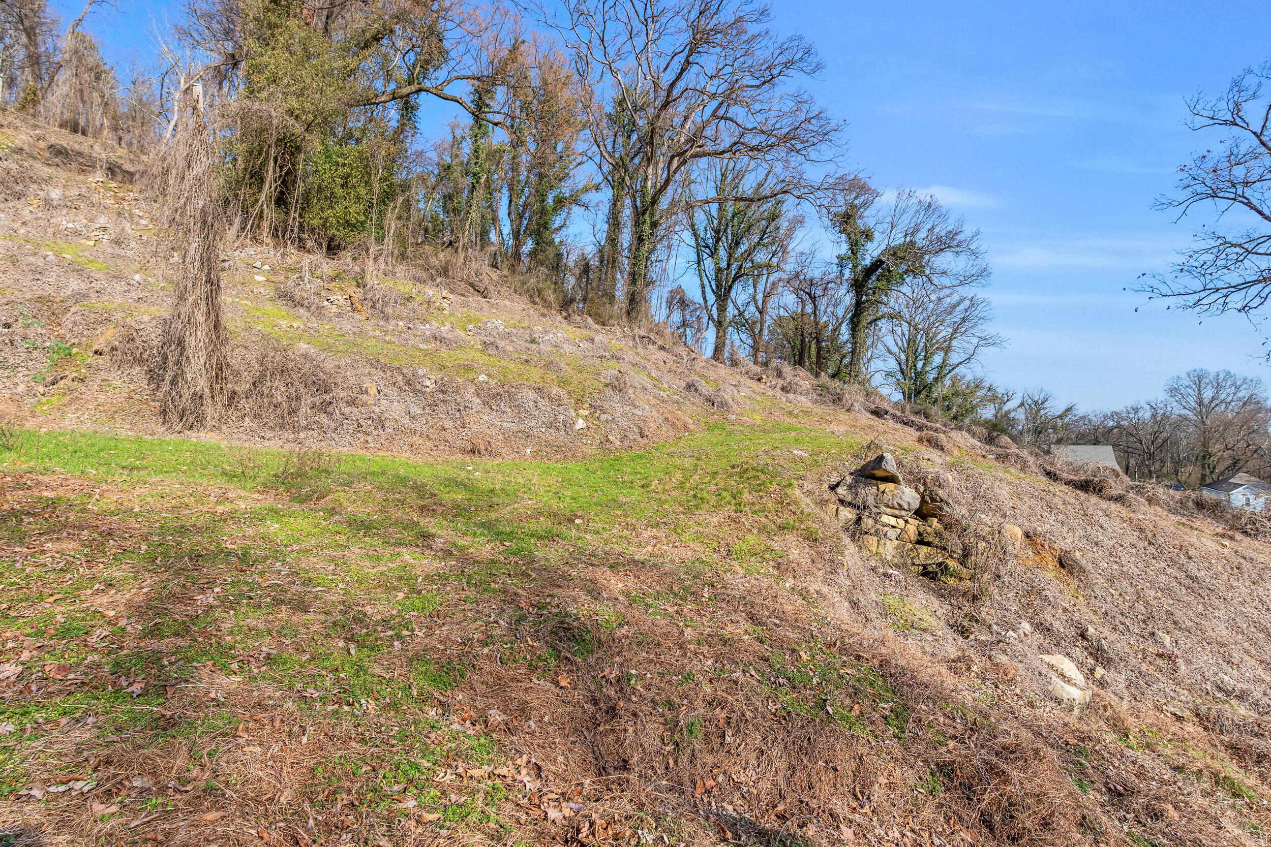 0 West 39th Street Chattanooga, TN 37409 - Photo 8 of 22 43_dsc06072