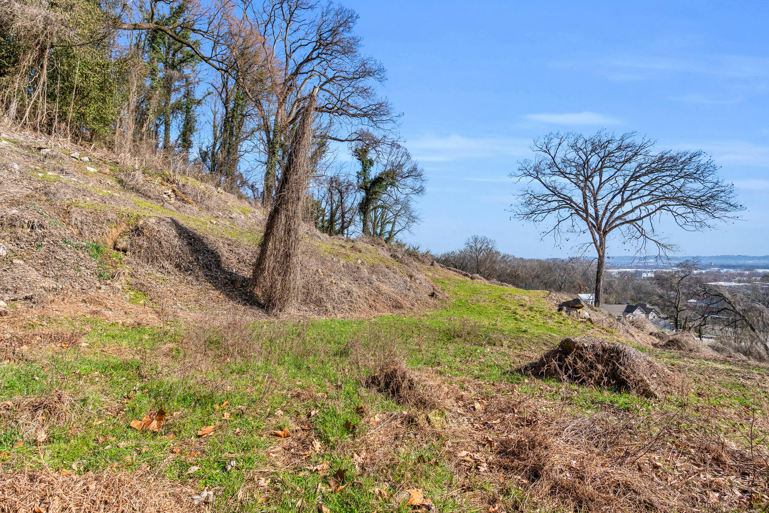 0 West 39th Street Chattanooga, TN 37409 - Photo 9 of 22 41_dsc06066