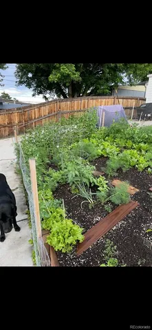 $559,999 | 3111 West Bails Place, Denver, CO 80219