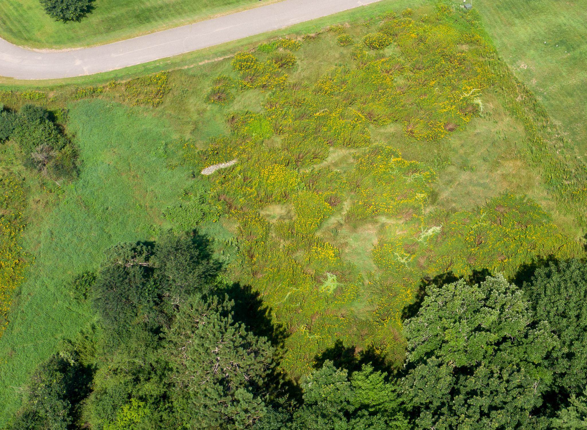 Lot 1 Sunshine Merrill, WI 54452 - Photo 5 of 7