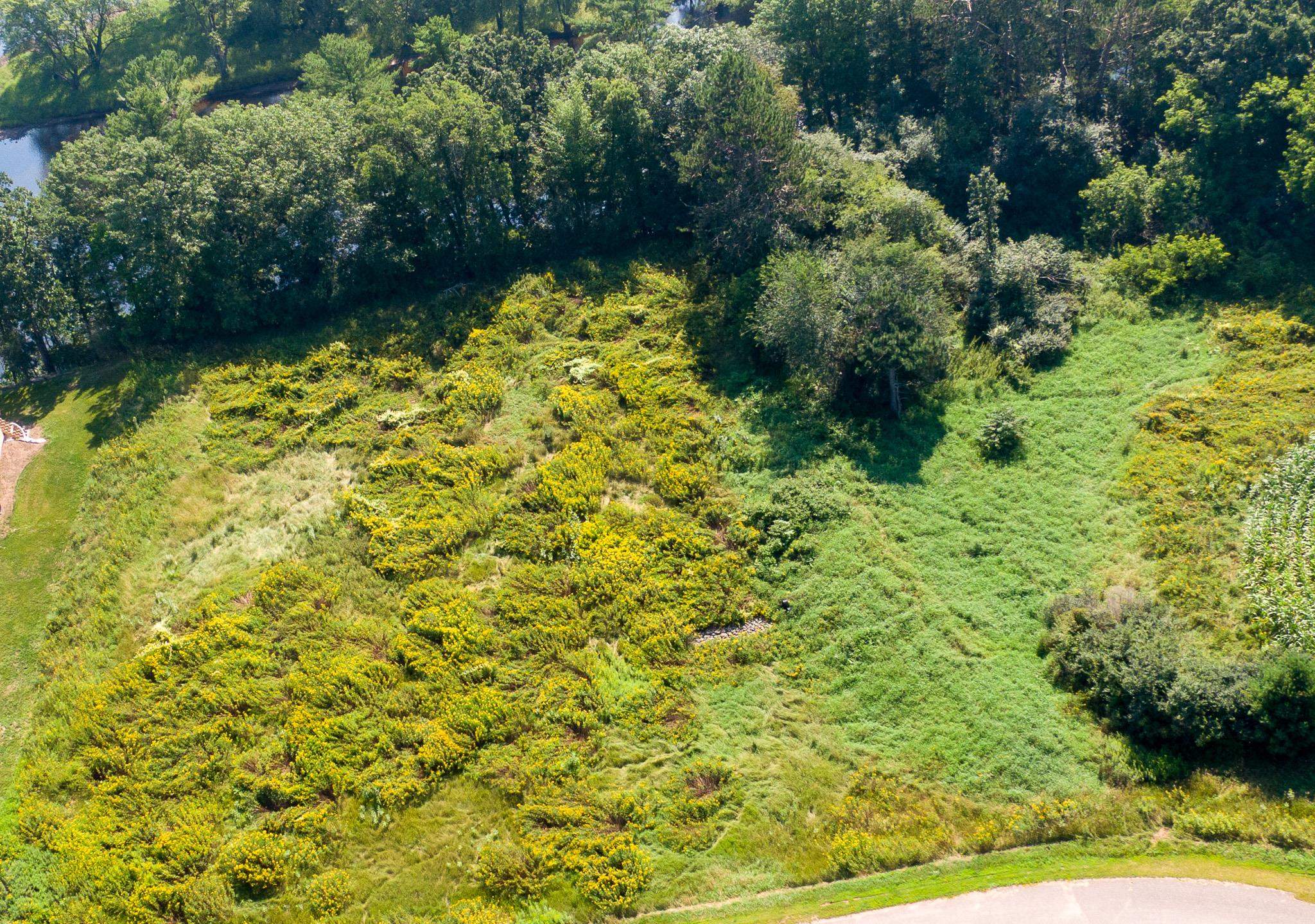 Lot 1 Sunshine Merrill, WI 54452 - Photo 6 of 7