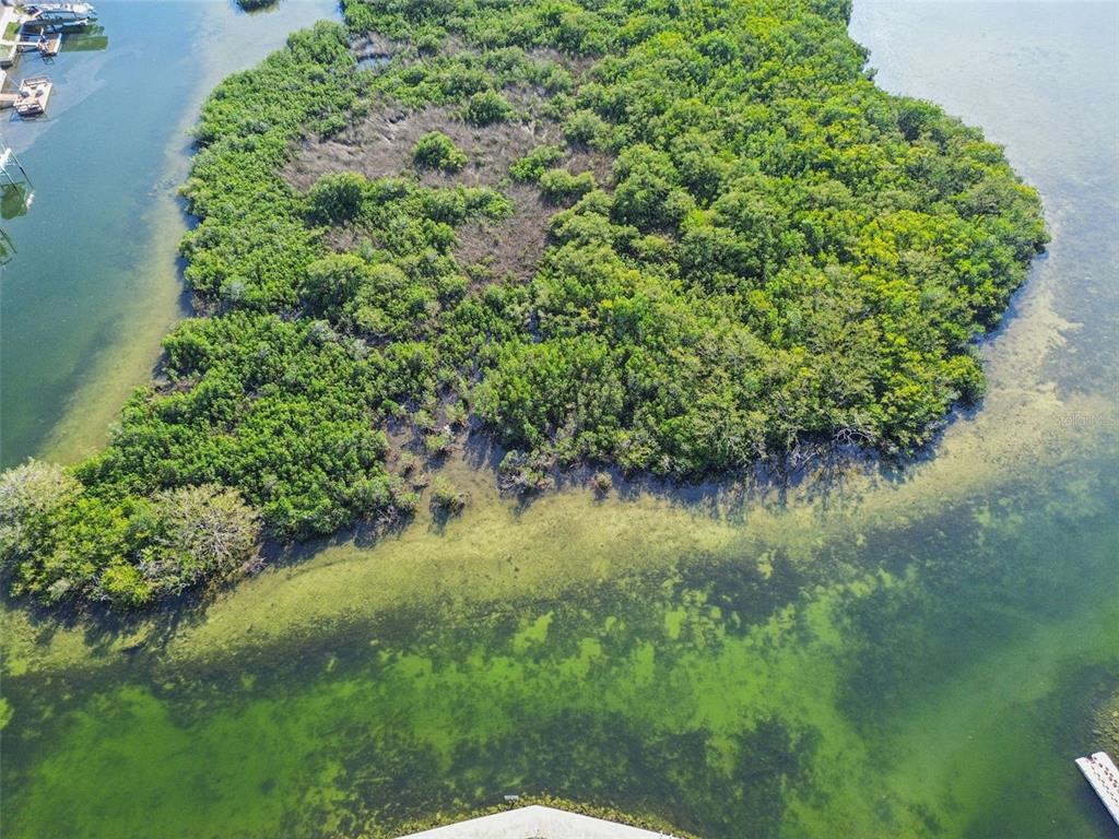 6374 Boatyard Drive Hudson, FL 34667 - Photo 14 of 25 a view of a garden with a lake