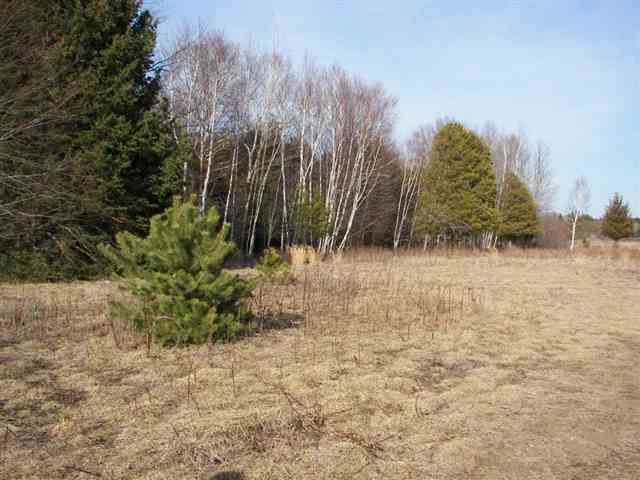 0 Downington Road Deckerville, MI 48427 - Photo 14 of 17 31050618-13.JPG
