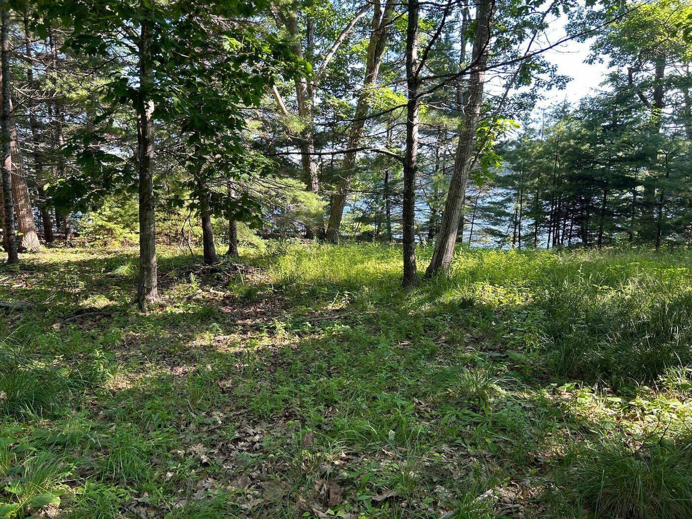 992 Surry Road Surry, ME 04684 - Photo 6 of 10