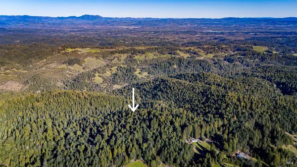 a view of a lush green hillside and a mountain