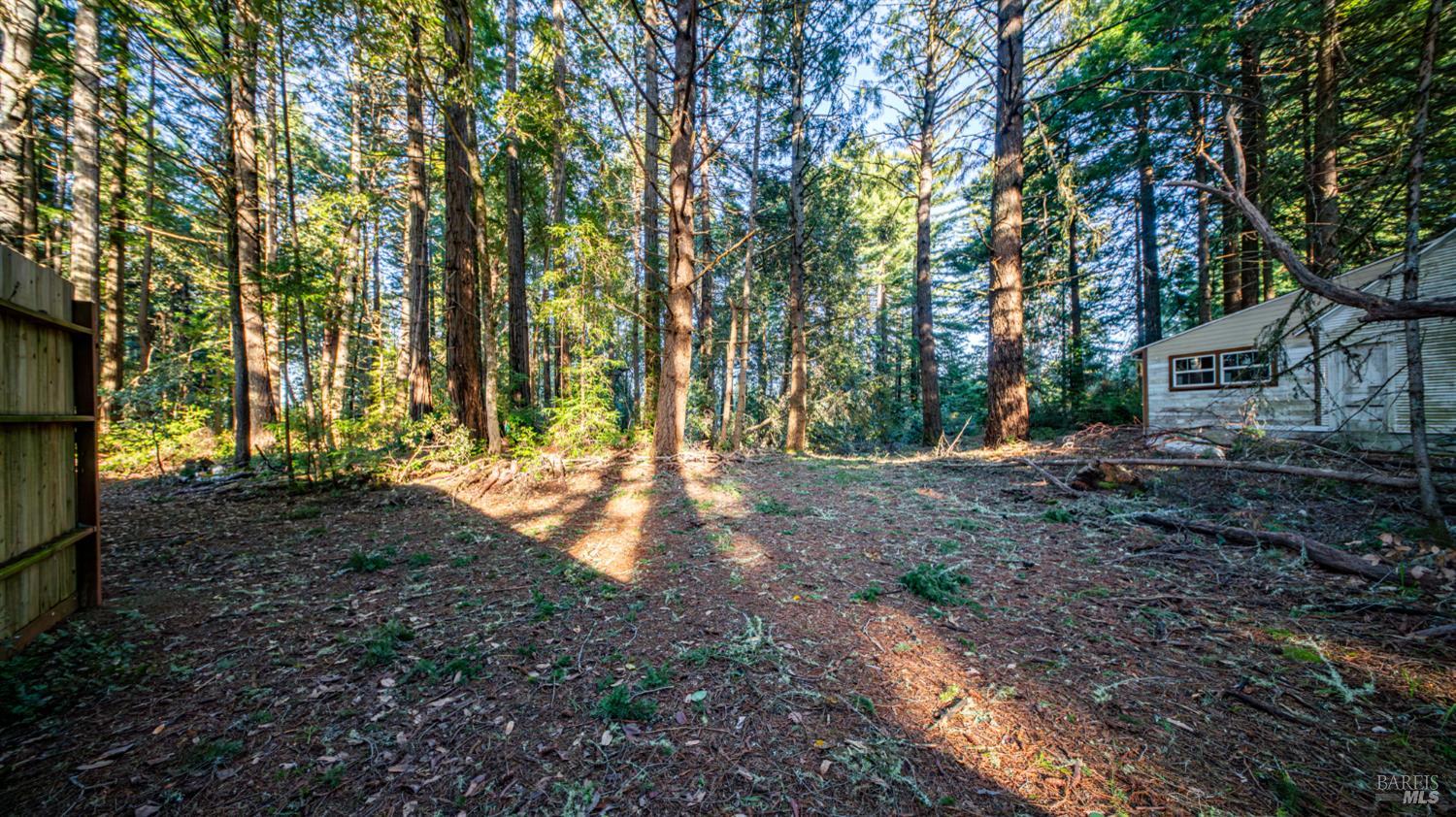 17470 Willow Creek Road Occidental, CA 95465 - Photo 11 of 29