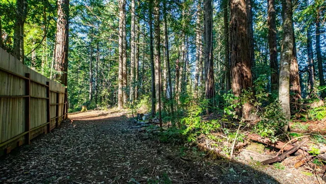 $450,000 | 17470 Willow Creek Road, Occidental, CA 95465