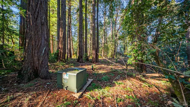 $450,000 | 17470 Willow Creek Road, Occidental, CA 95465