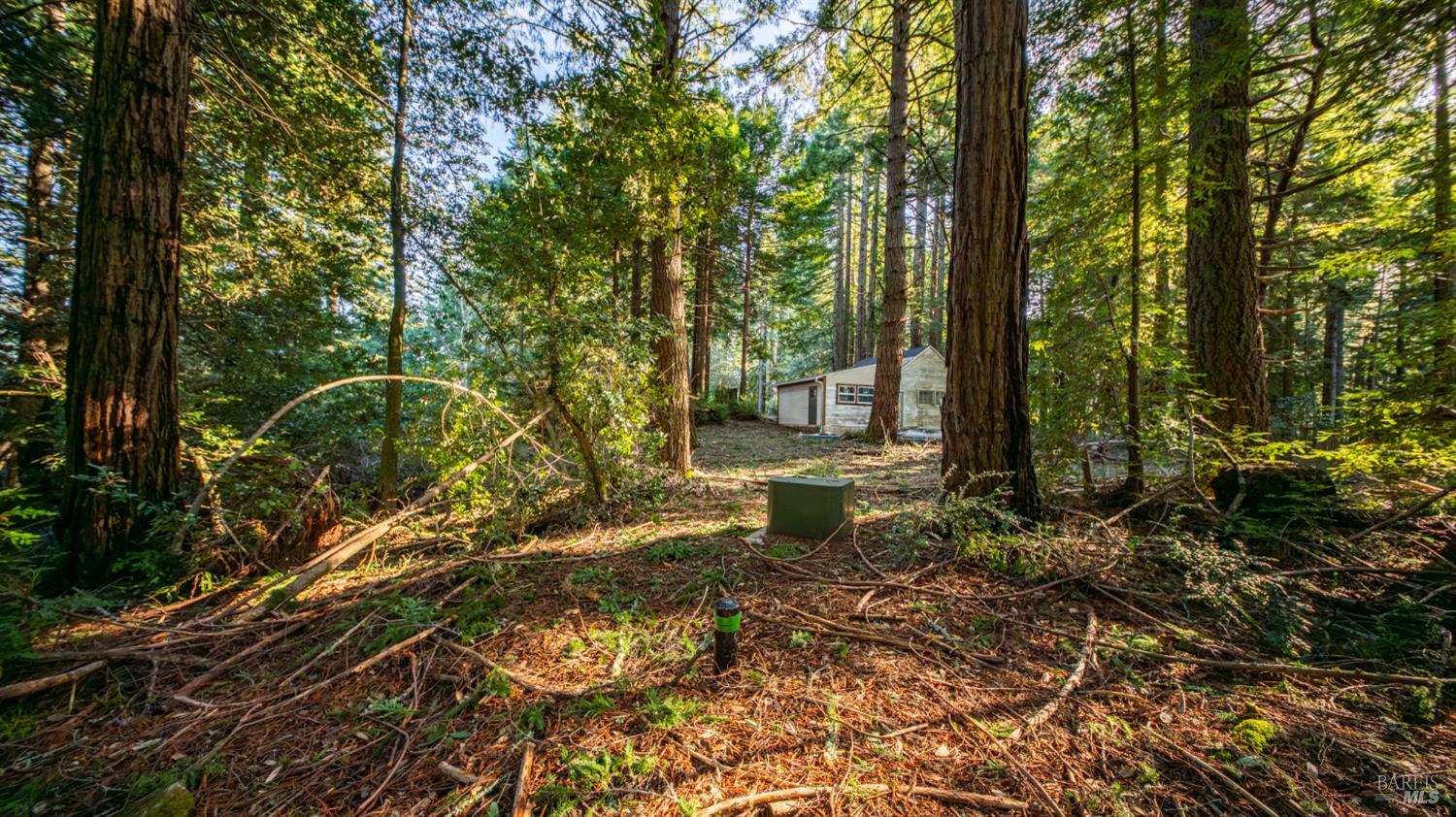 17470 Willow Creek Road Occidental, CA 95465 - Photo 16 of 29