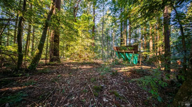 $450,000 | 17470 Willow Creek Road, Occidental, CA 95465