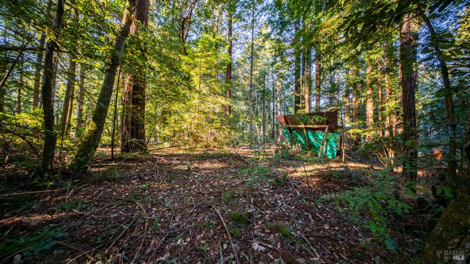 17470 Willow Creek Road Occidental, CA 95465 - Photo 17 of 29